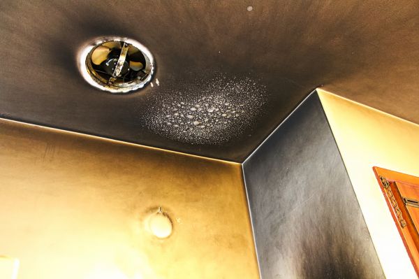 Cost of Smoke Damage Remediation in Parrish
